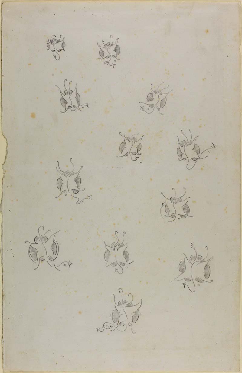 Stylized Butterfly Designs