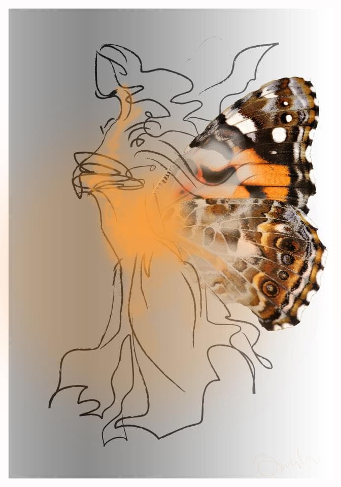 Painted Lady