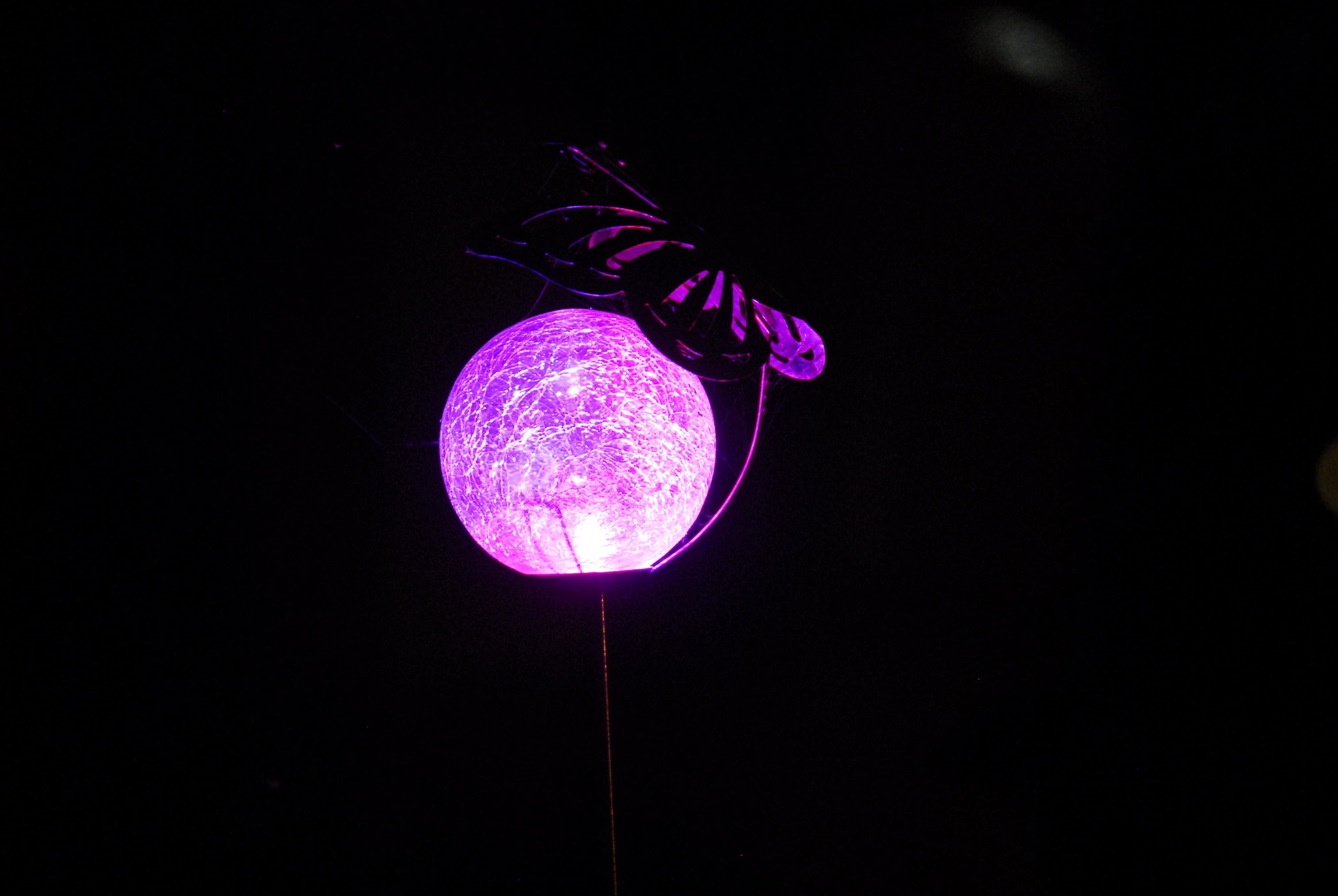 Artificial Butterfly Ornament