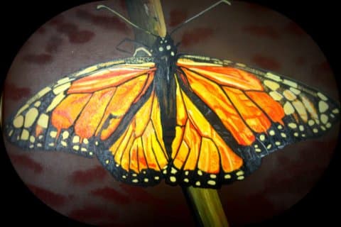 Monarch
