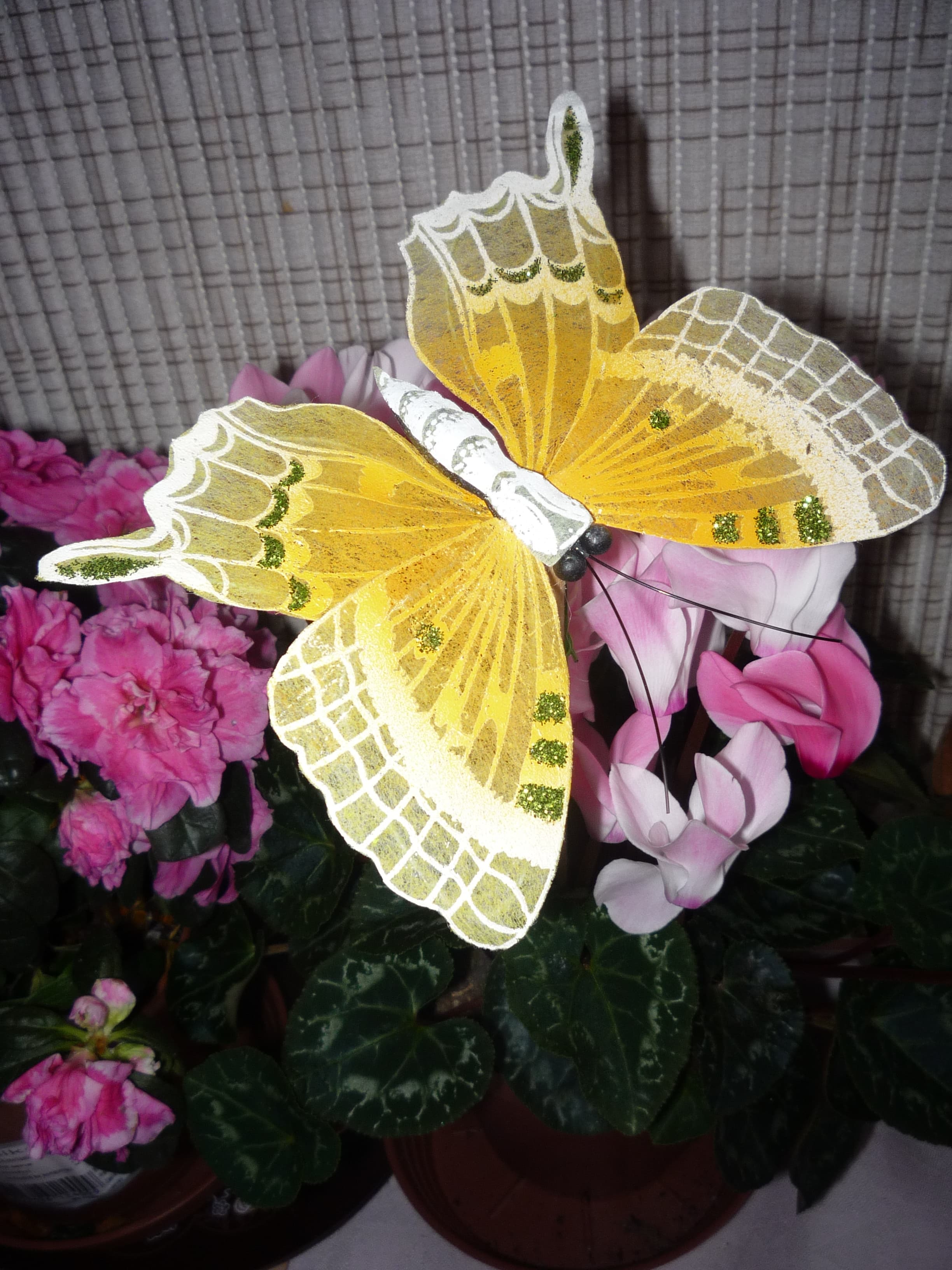 Decorative Butterfly