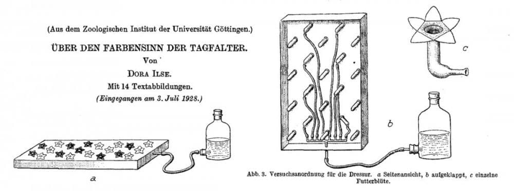 item-12