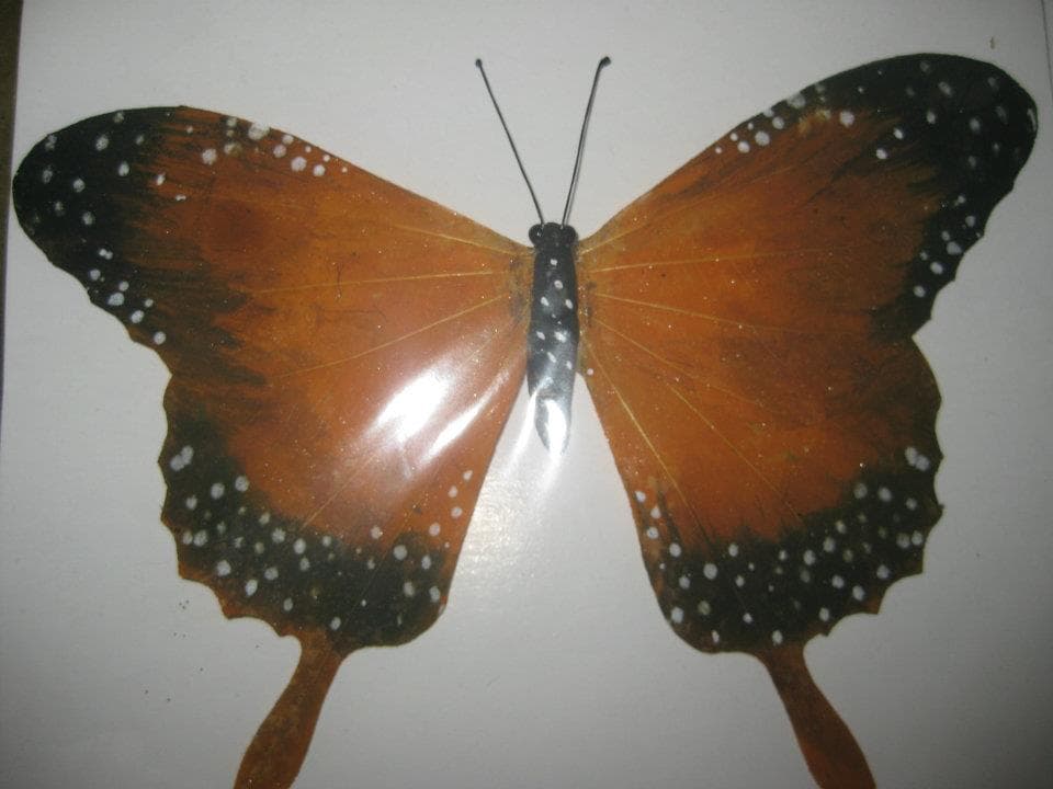 Common Tiger