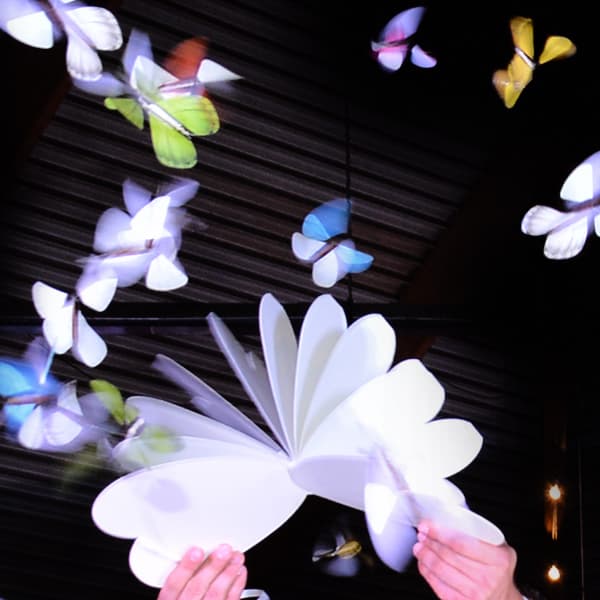 Magic Flying Butterflies (Artificial)