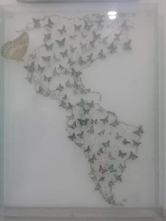 item-52