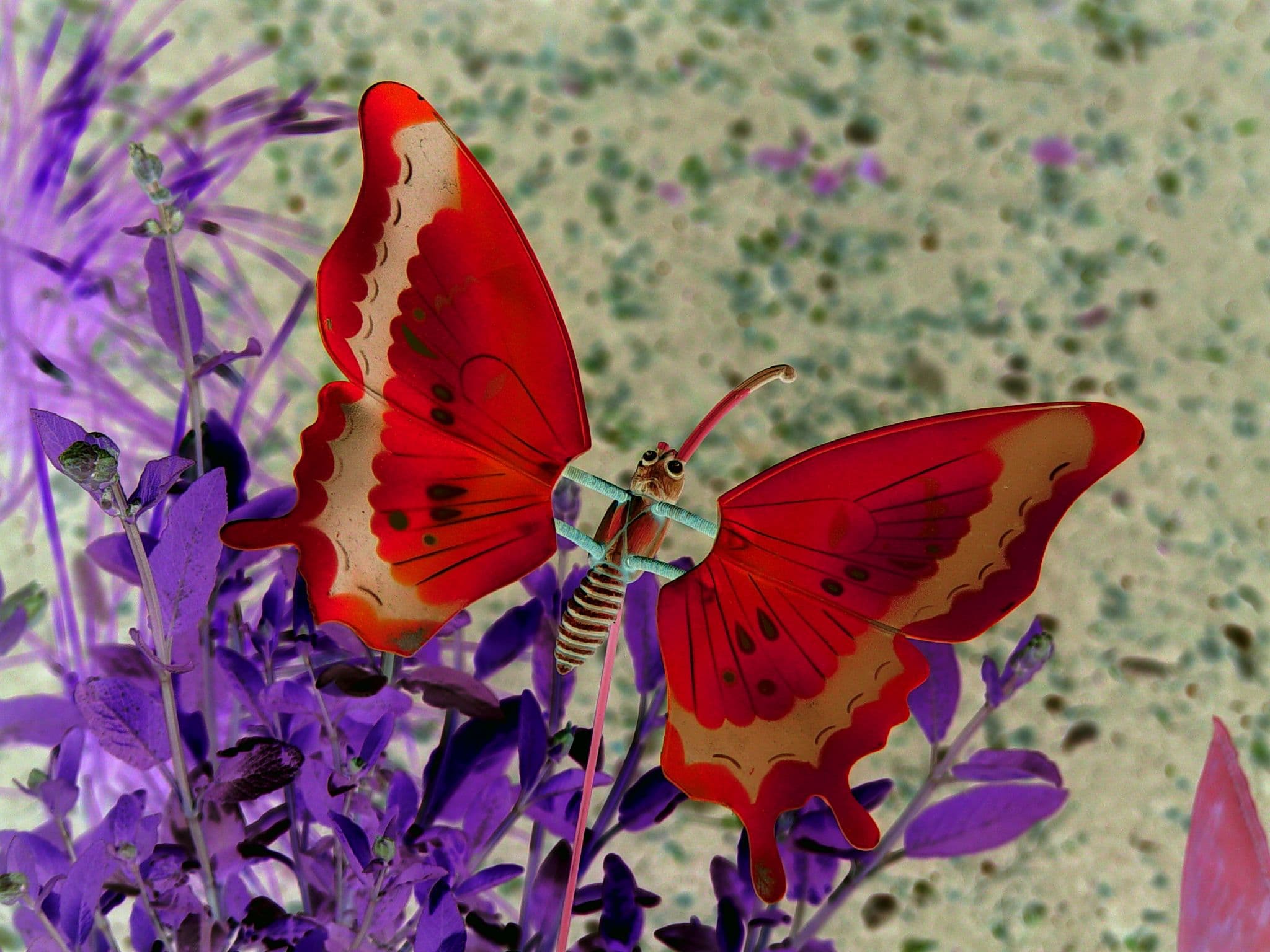 Decorative Butterfly (Art Piece)