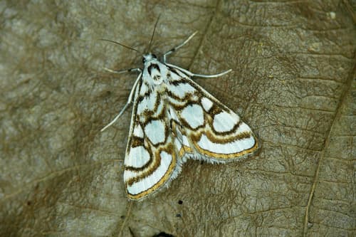 Beautiful China-mark