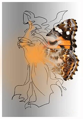 Painted Lady