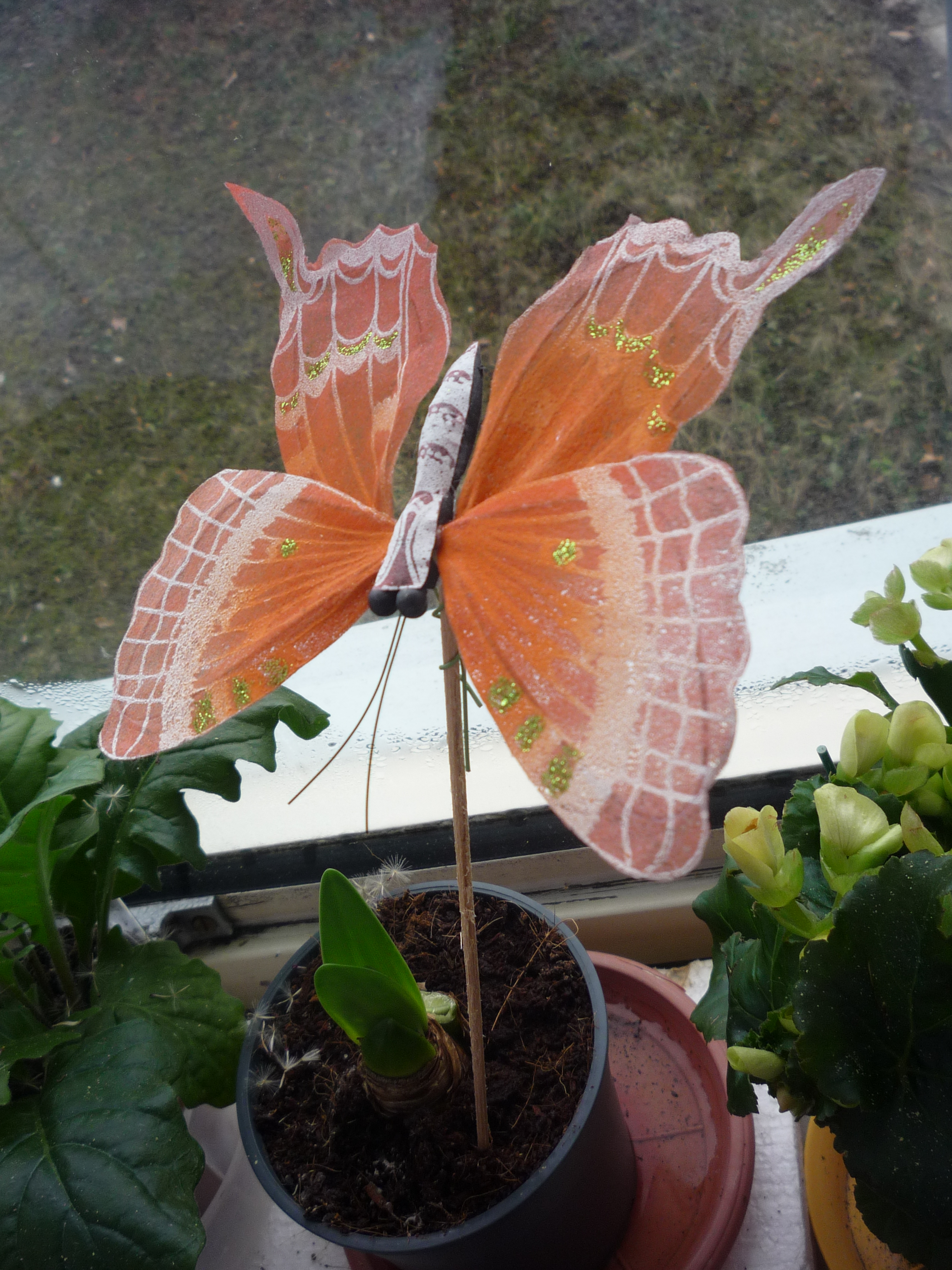 Decorative Butterfly