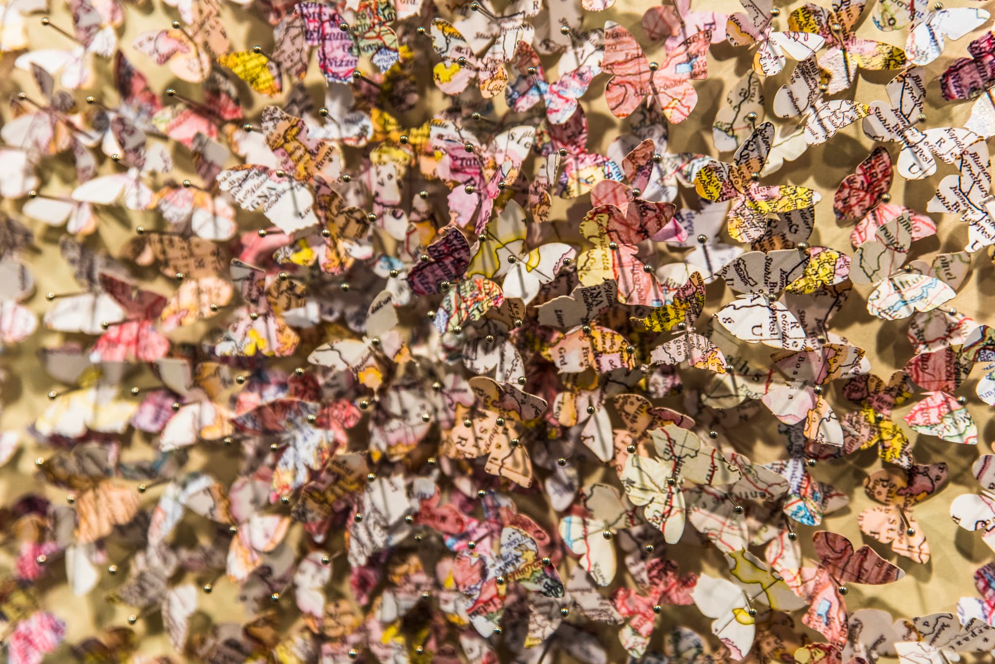 Paper Butterflies (Art Installation)