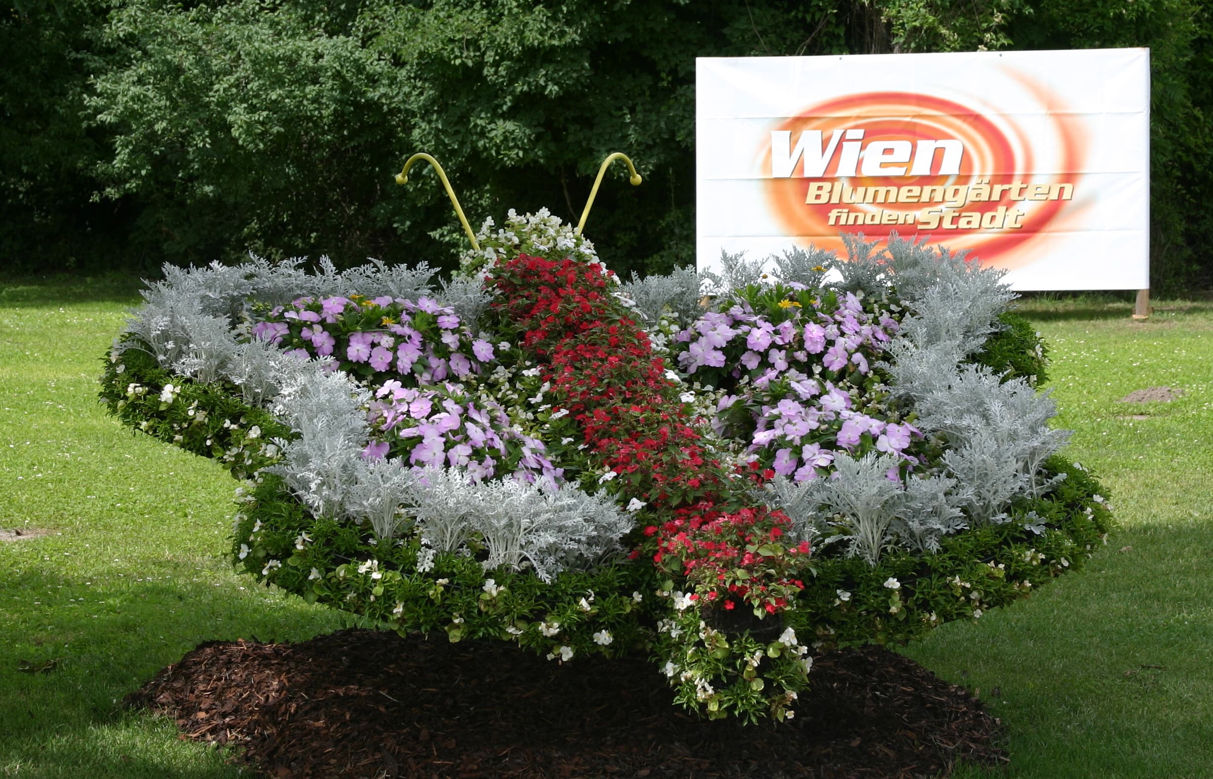 Floral Butterfly Display