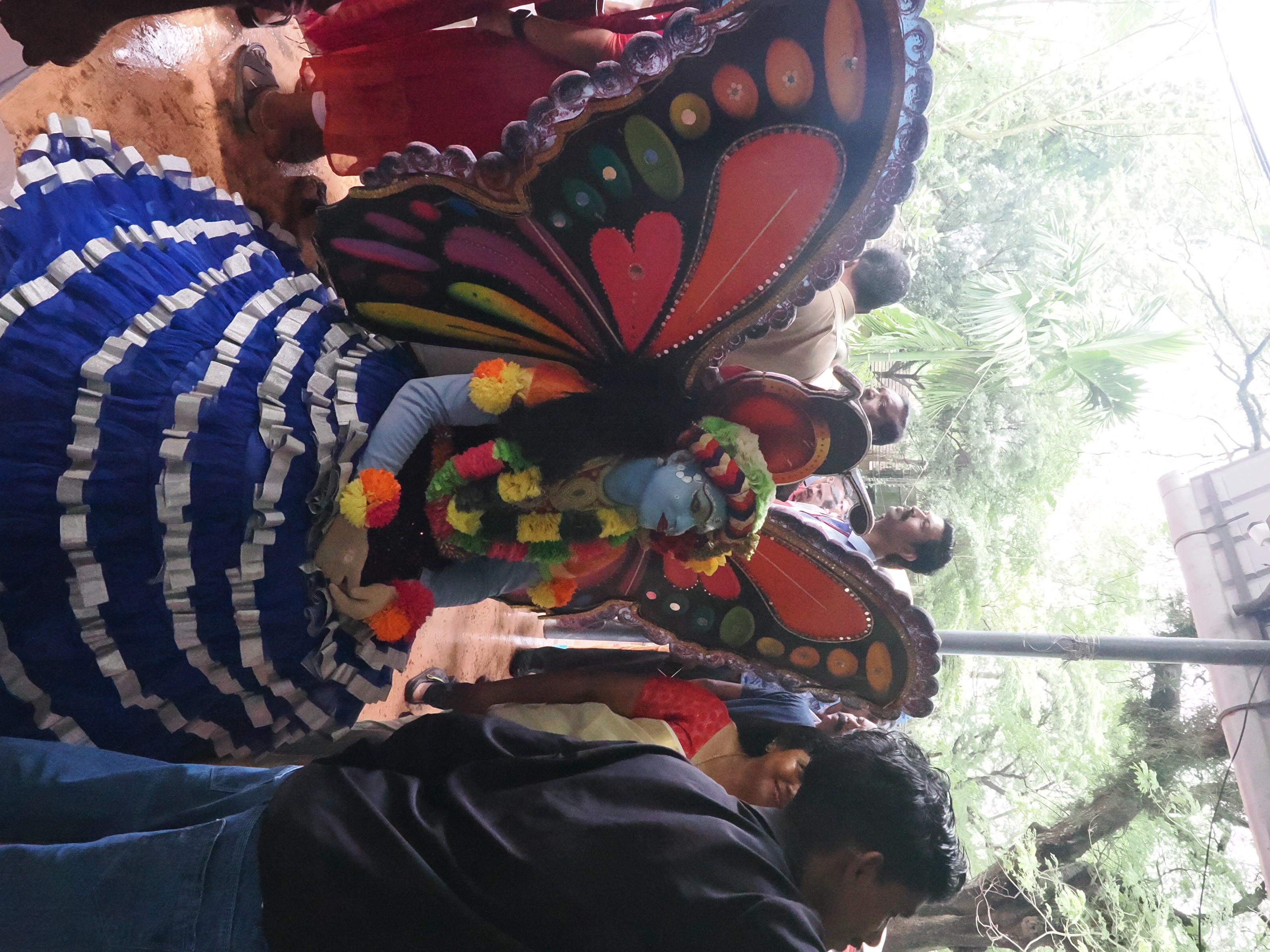 Butterfly Costume (Cultural Display)