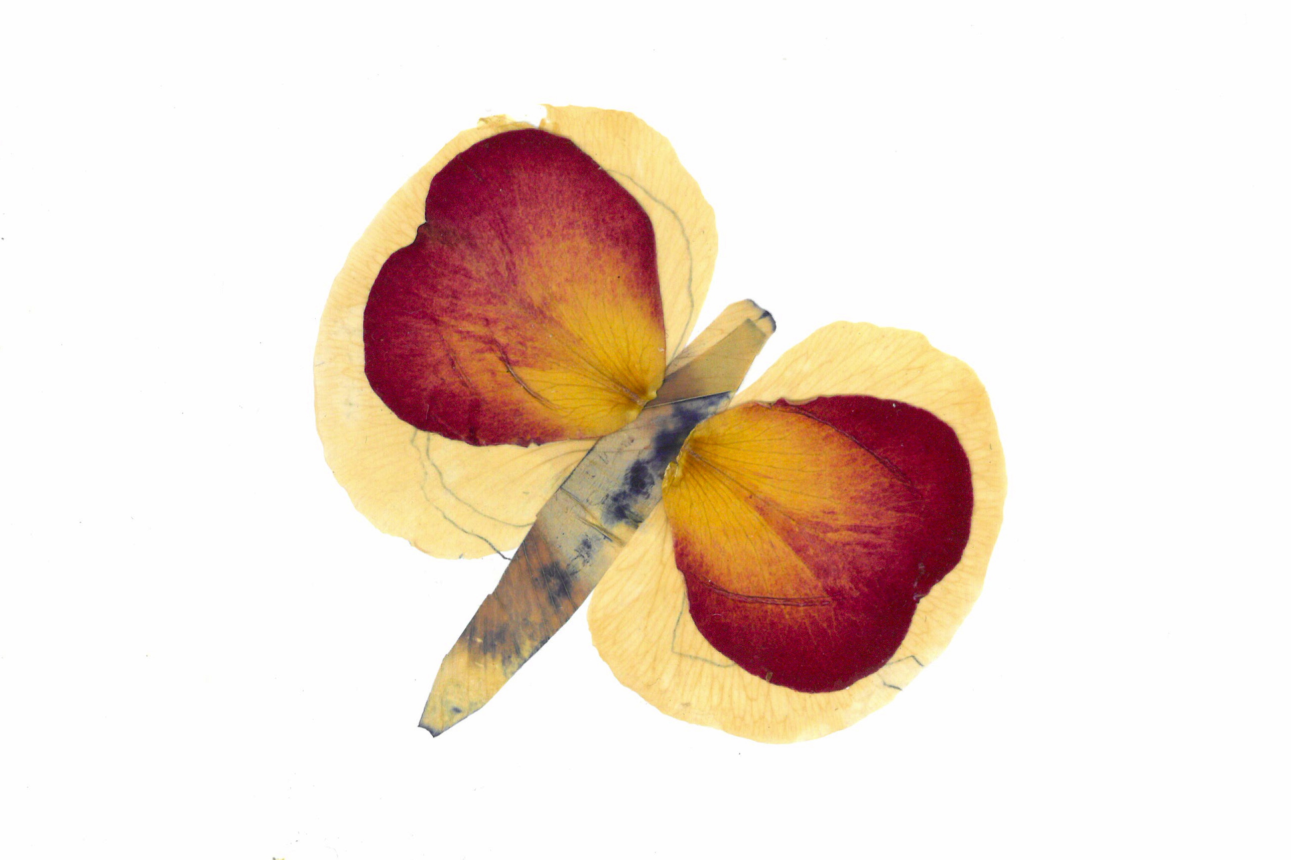 N/A (Artistic representation)