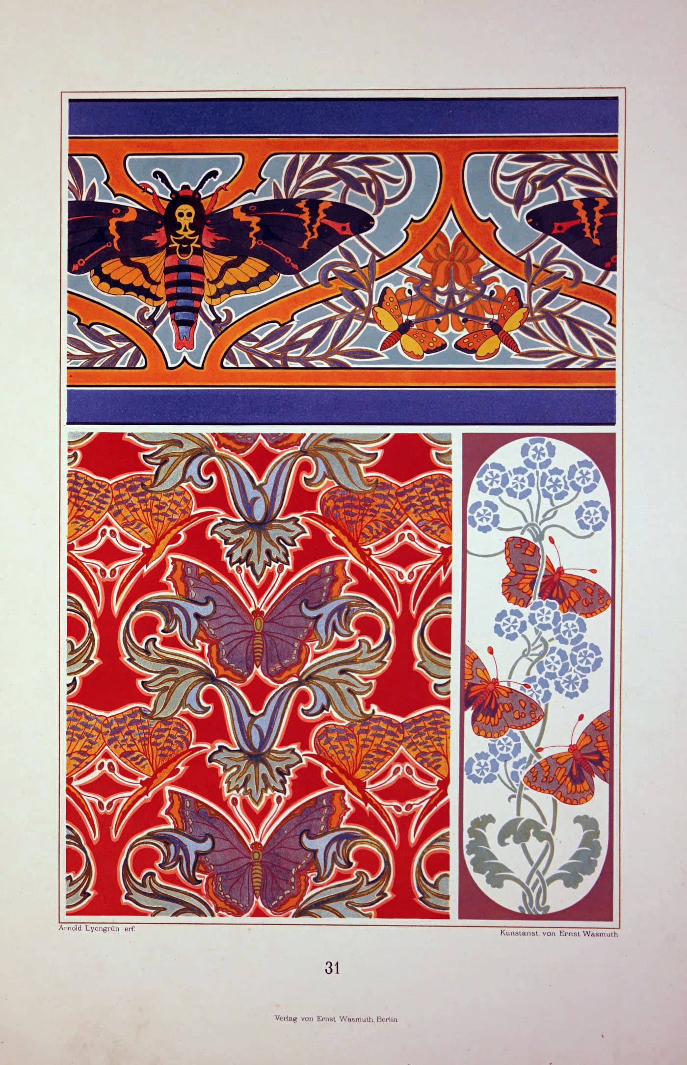 Death's-head Hawkmoth