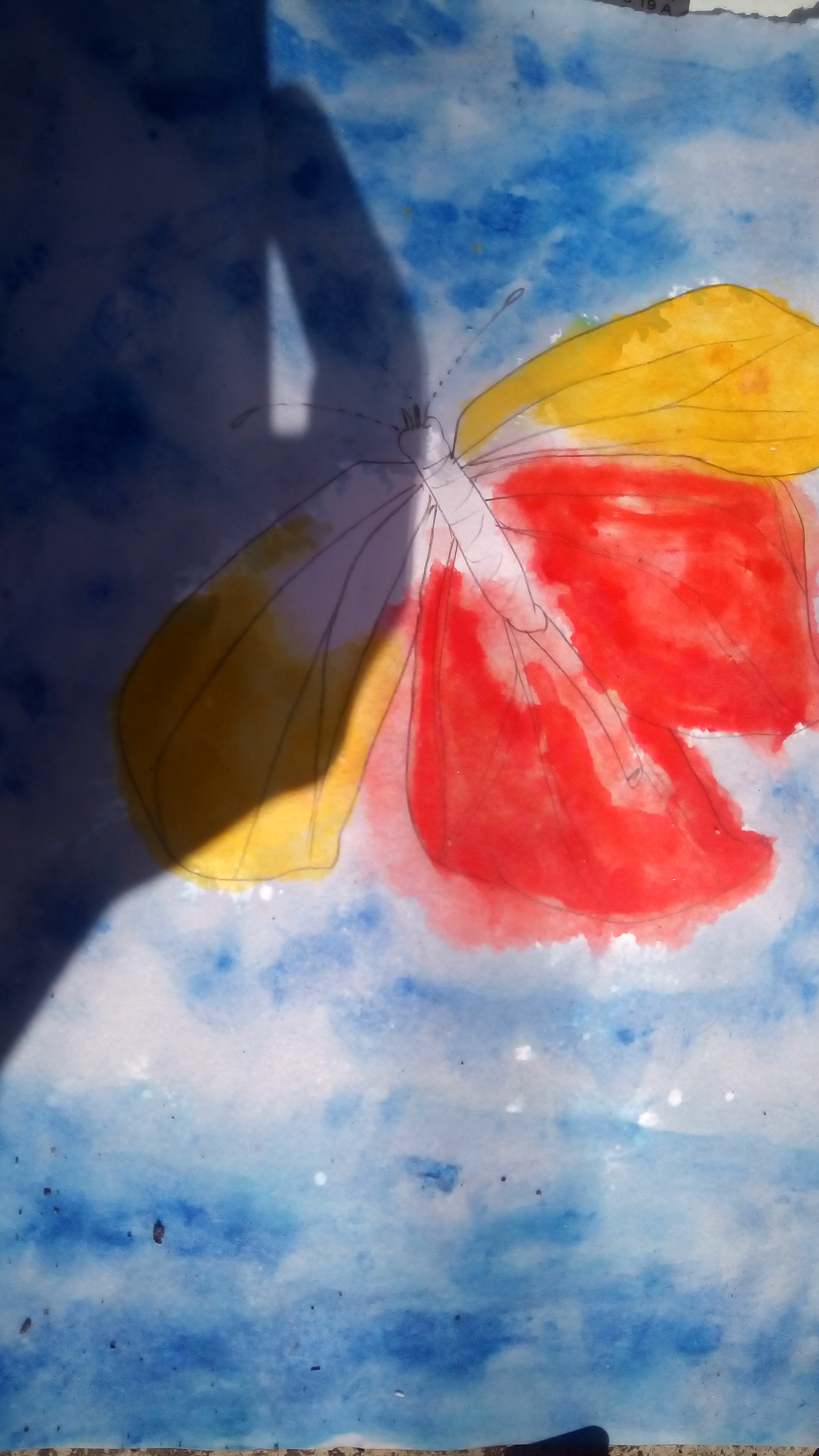 N/A (Artistic Representation)