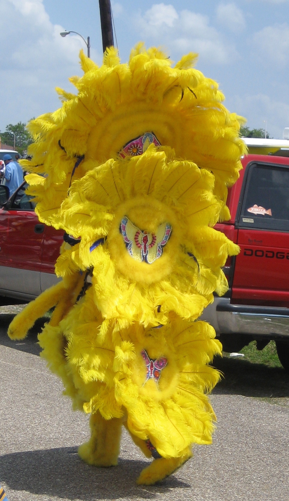 N/A (Mardi Gras Indian costume)
