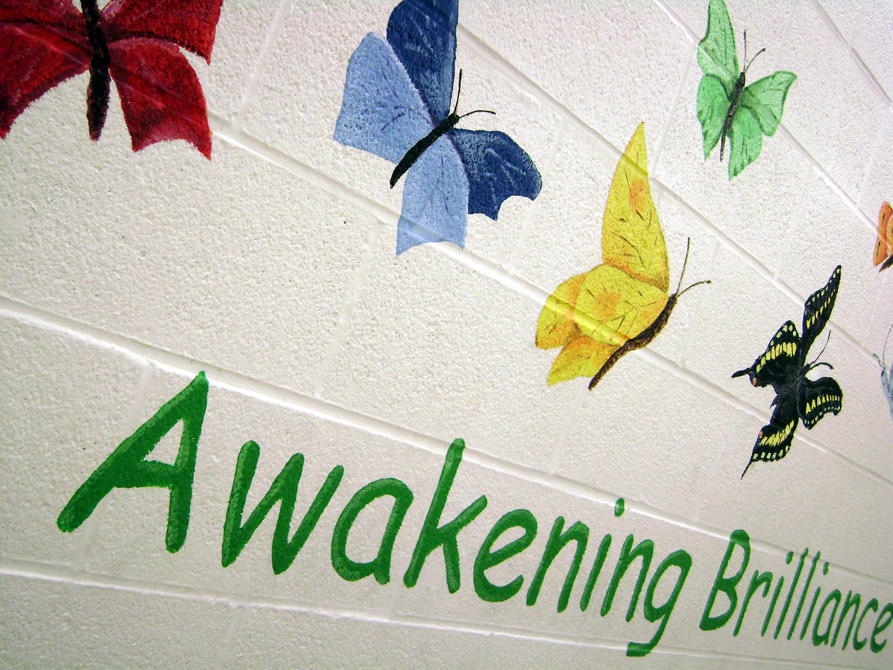 Painted Butterfly (Mural)