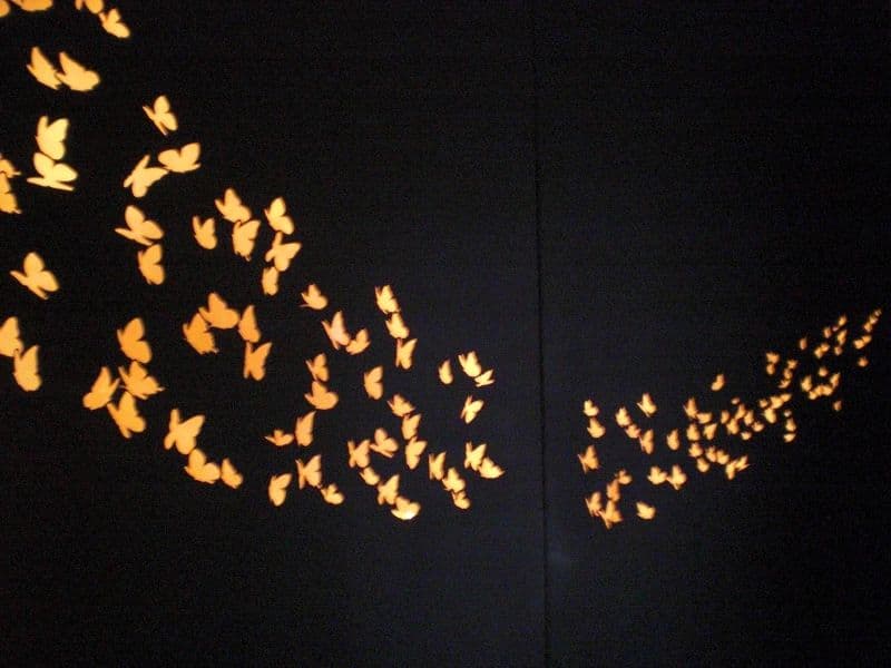 N/A (Decorative Butterfly Silhouettes)