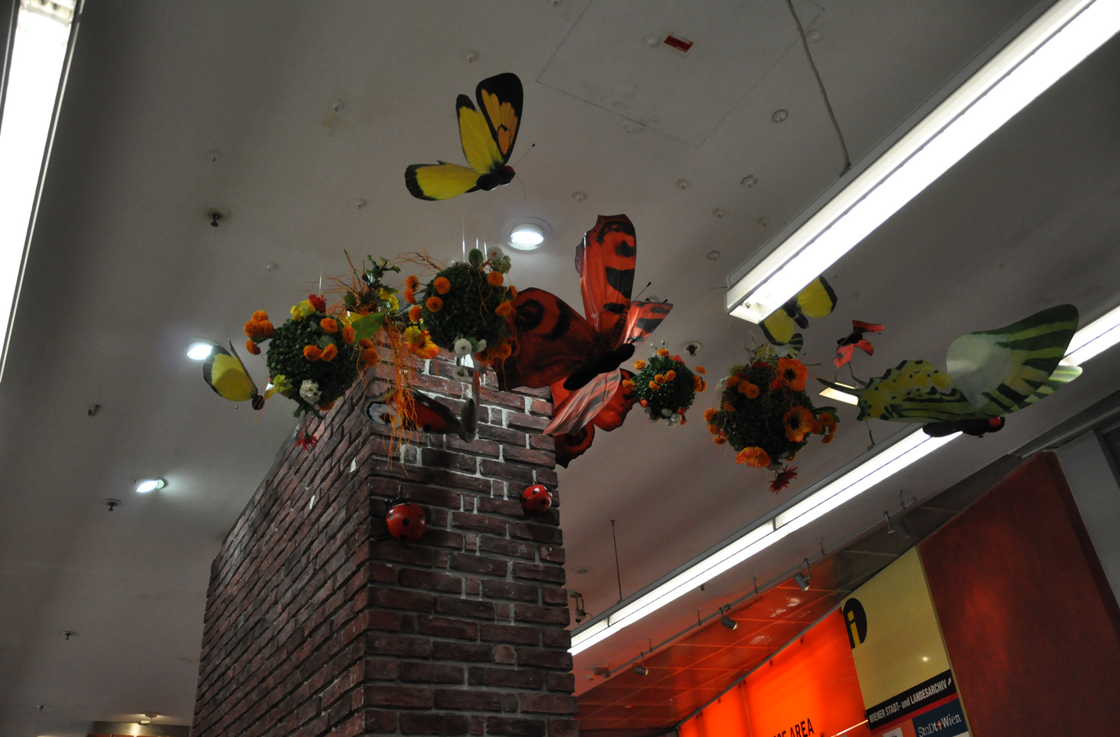 N/A (Decorative butterfly)