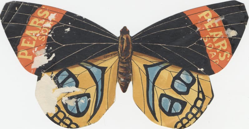 Pears' Soap Advertisement Butterfly