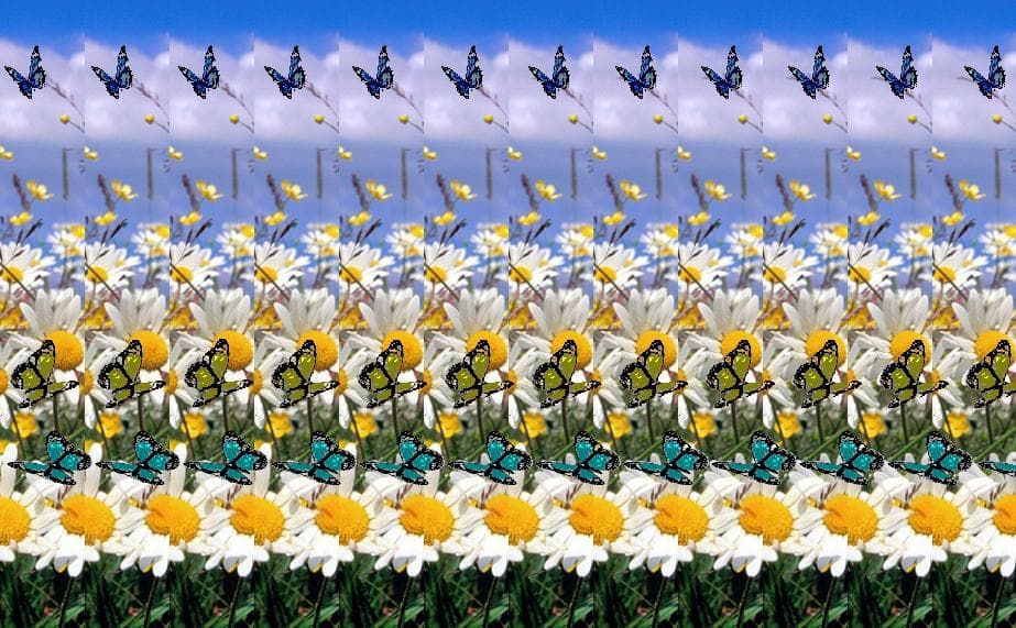 Stylized Butterflies