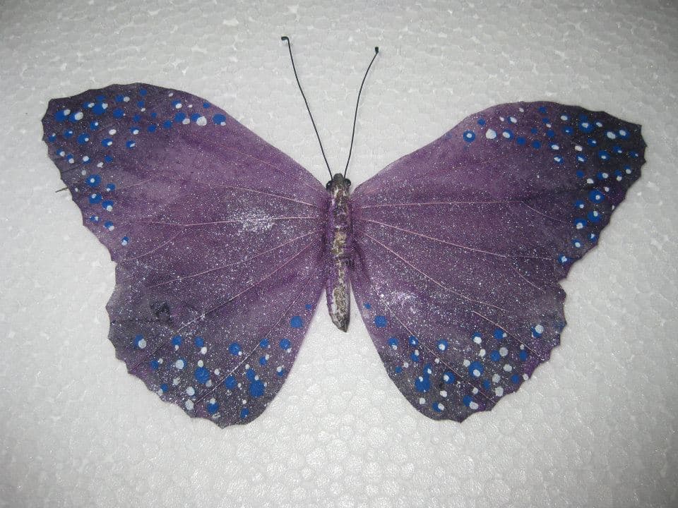 Artificial Butterfly (Leaf Craft)