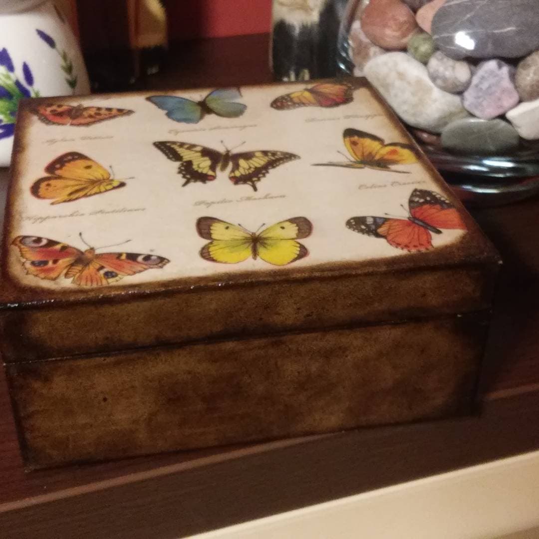 Old World Swallowtail