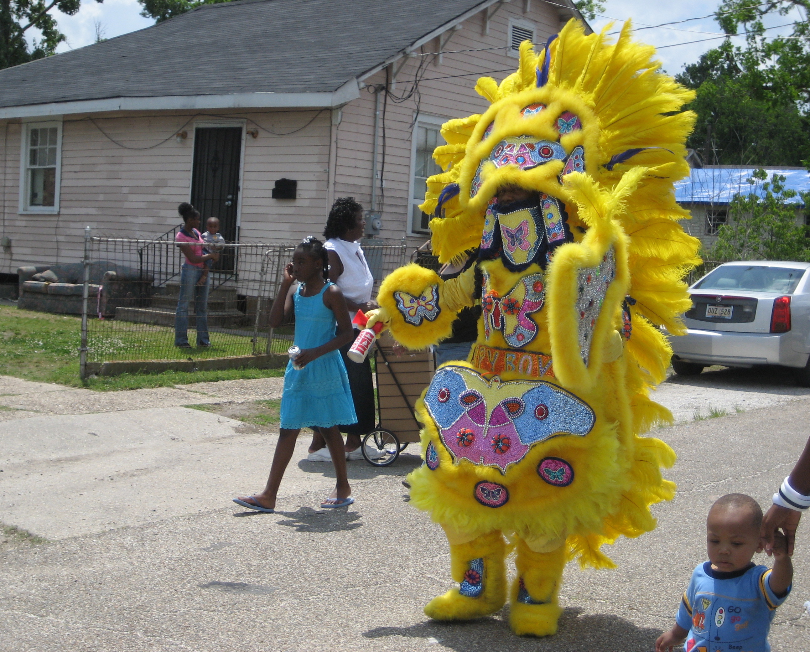 Not a butterfly or moth