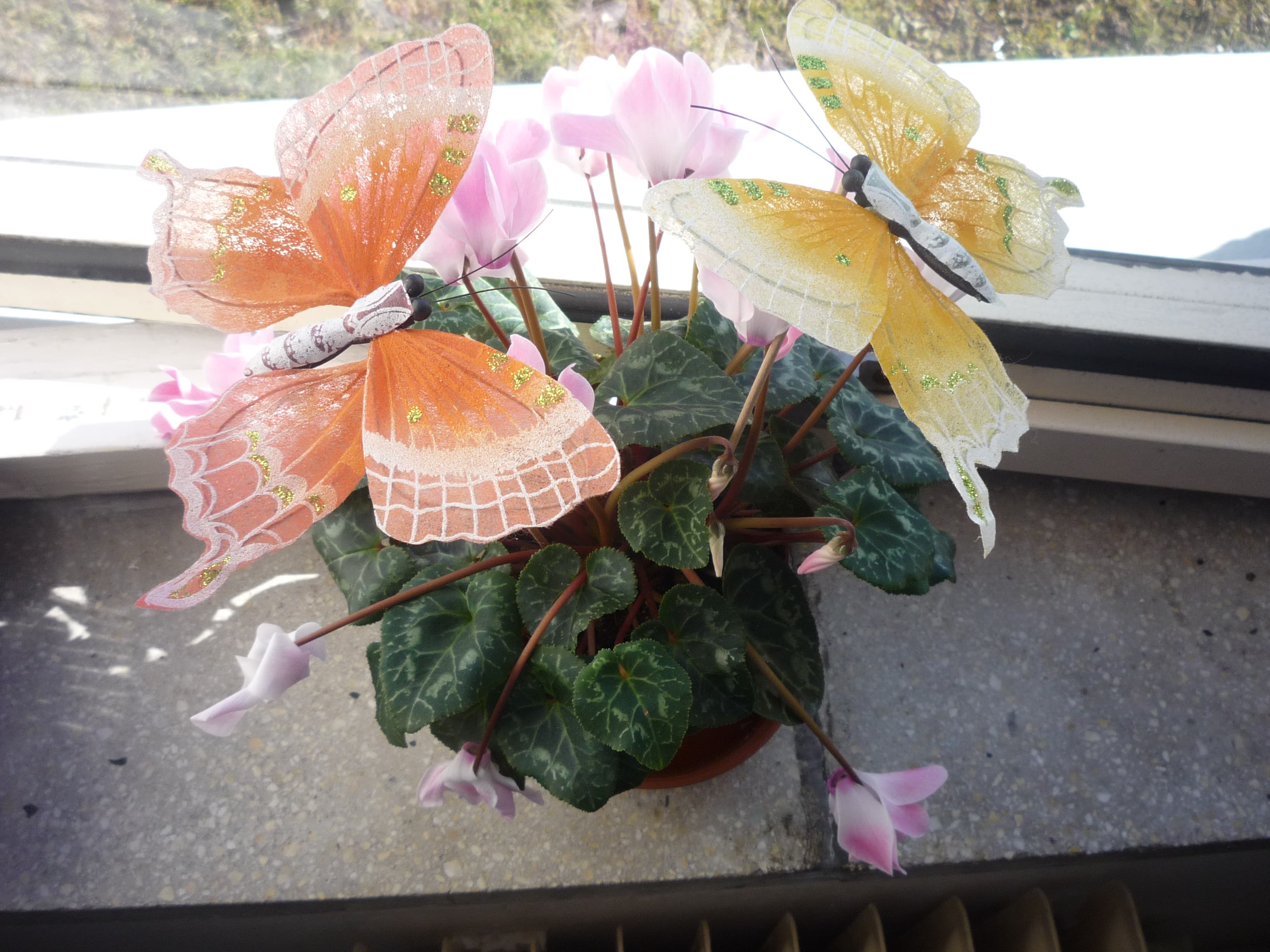 Decorative Butterfly