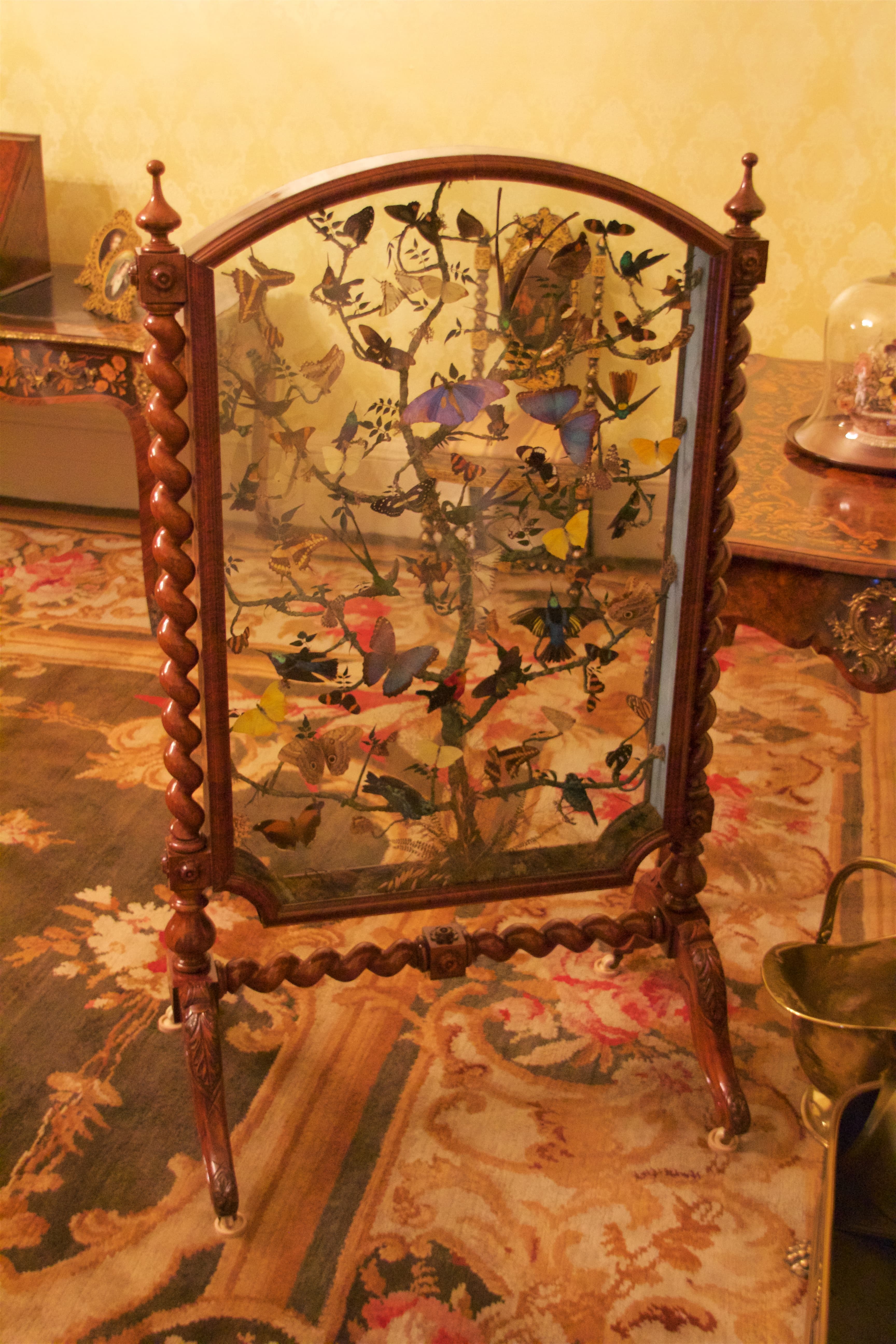 N/A (Image depicts a collection of various butterfly species)