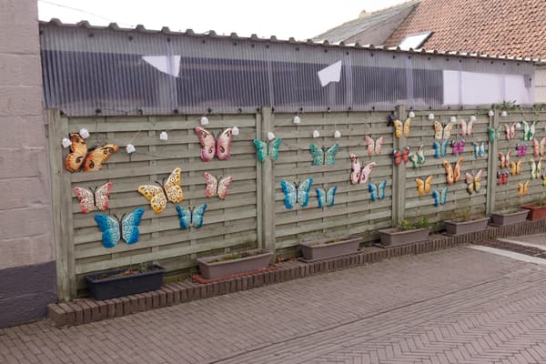 N/A (Decorative Butterflies)