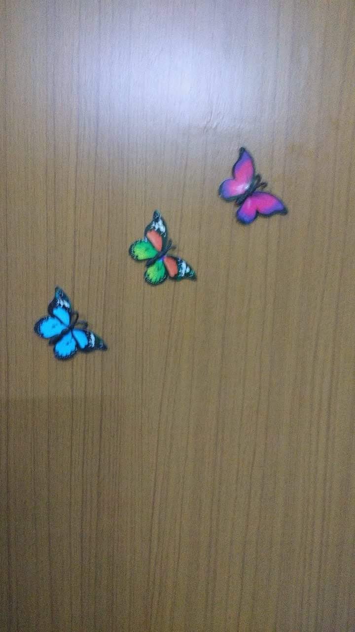 N/A (Decorative Butterflies)