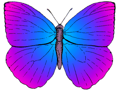 Artistic Butterfly Illustration