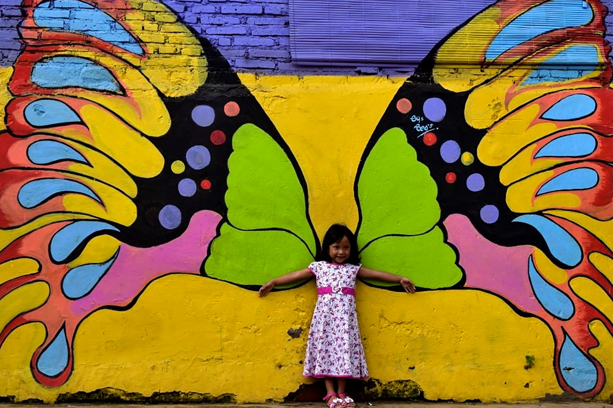N/A (Mural of butterfly wings)