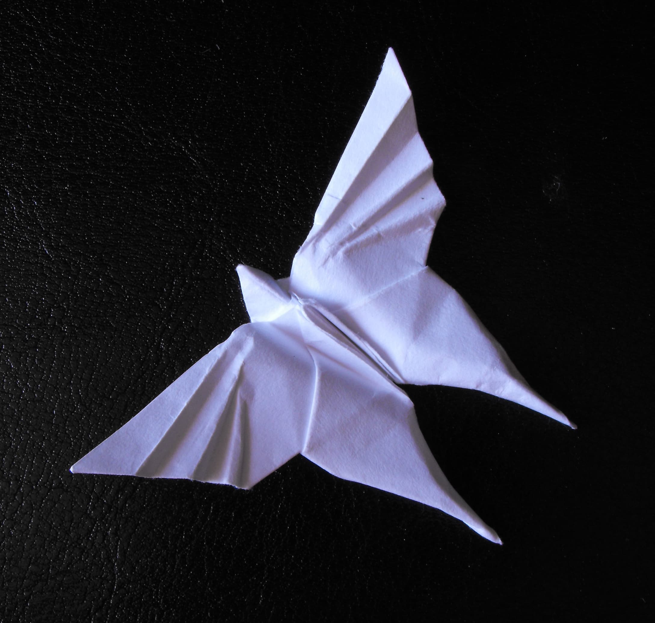 Origami Butterfly