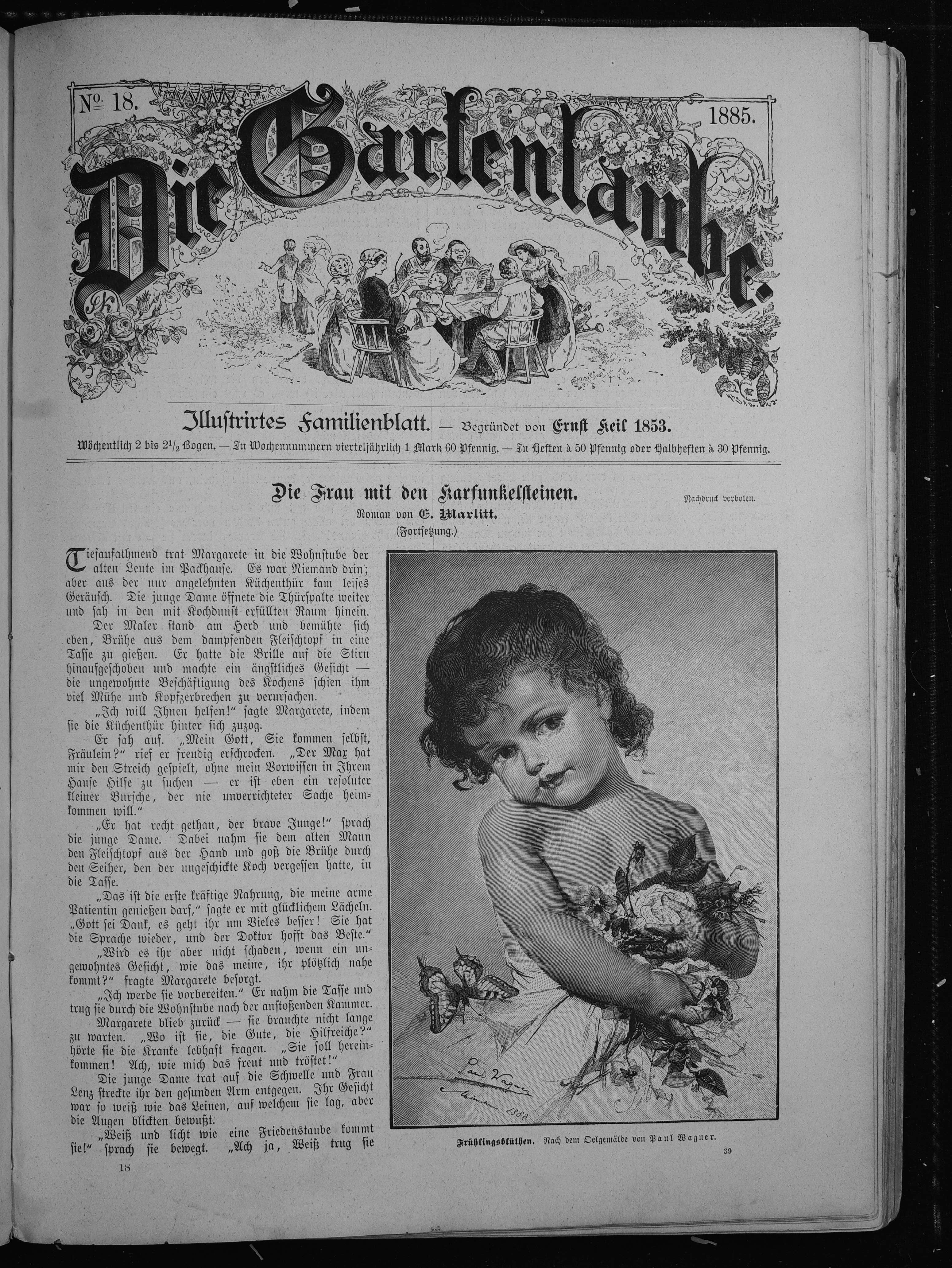 Small White Butterfly