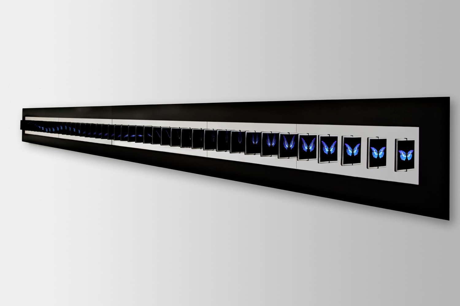 Artistic depiction of a butterfly (Flutter artwork by Dominic Harris)