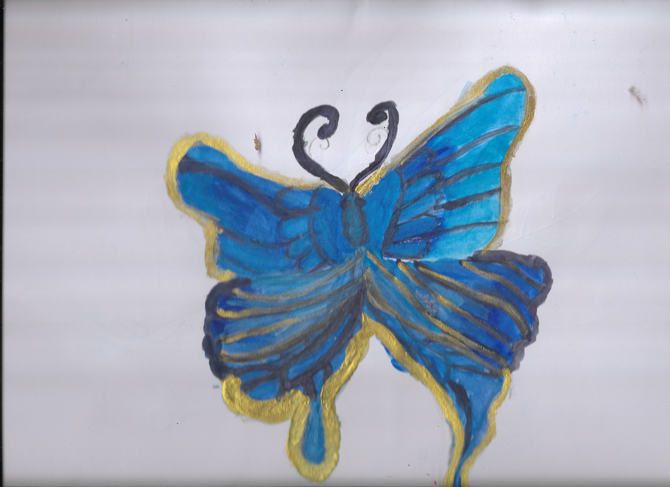 Blue Butterfly Drawing