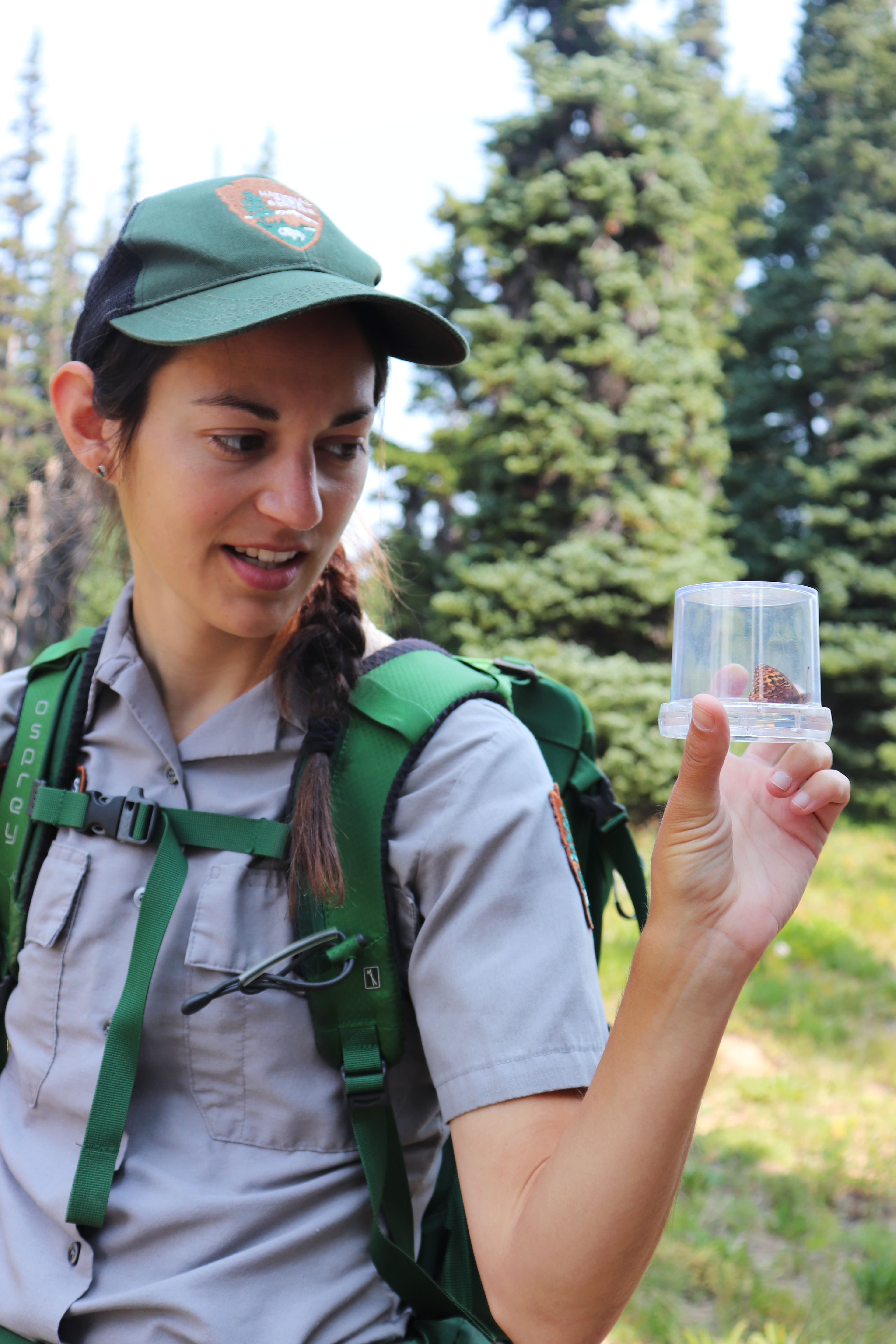 Hoffmann's Checkerspot