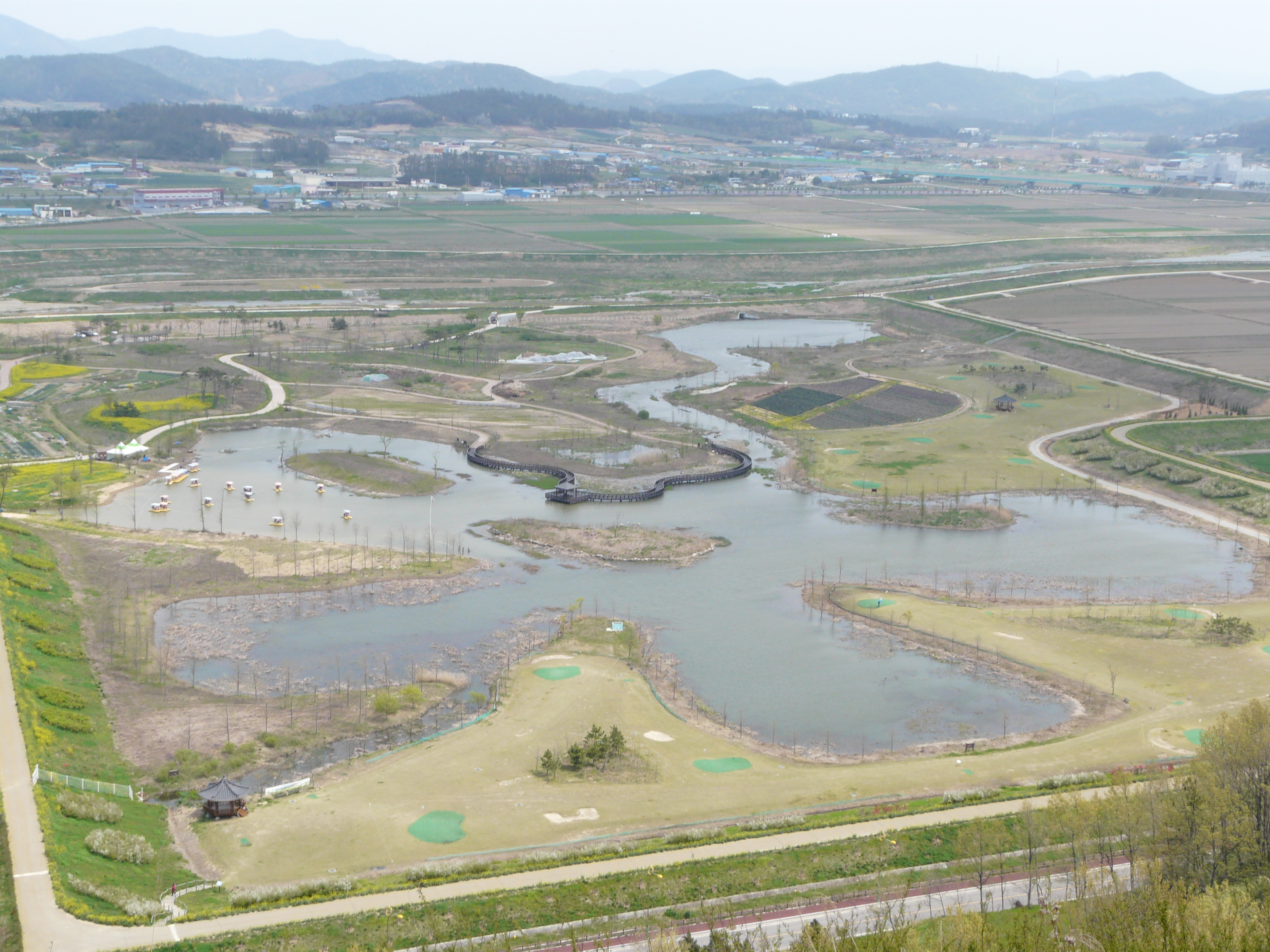 N/A (No butterfly or moth visible in the image)