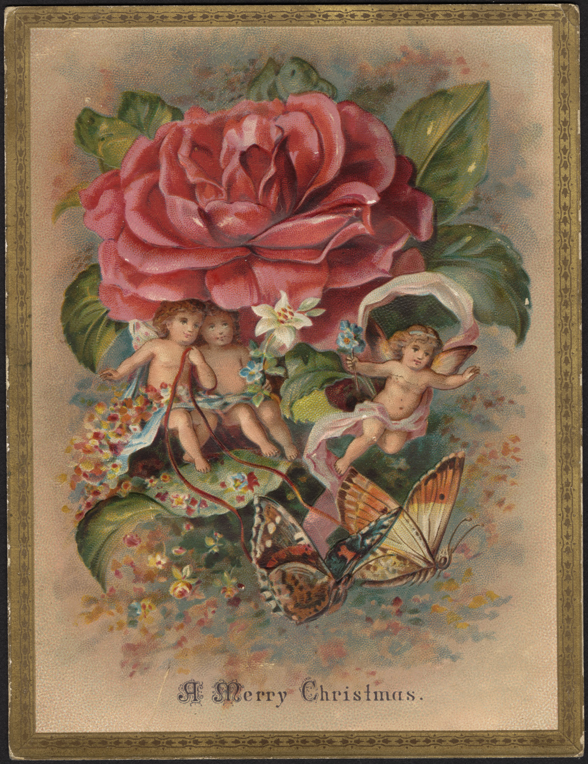 Unidentifiable Butterfly (Artistic Representation)