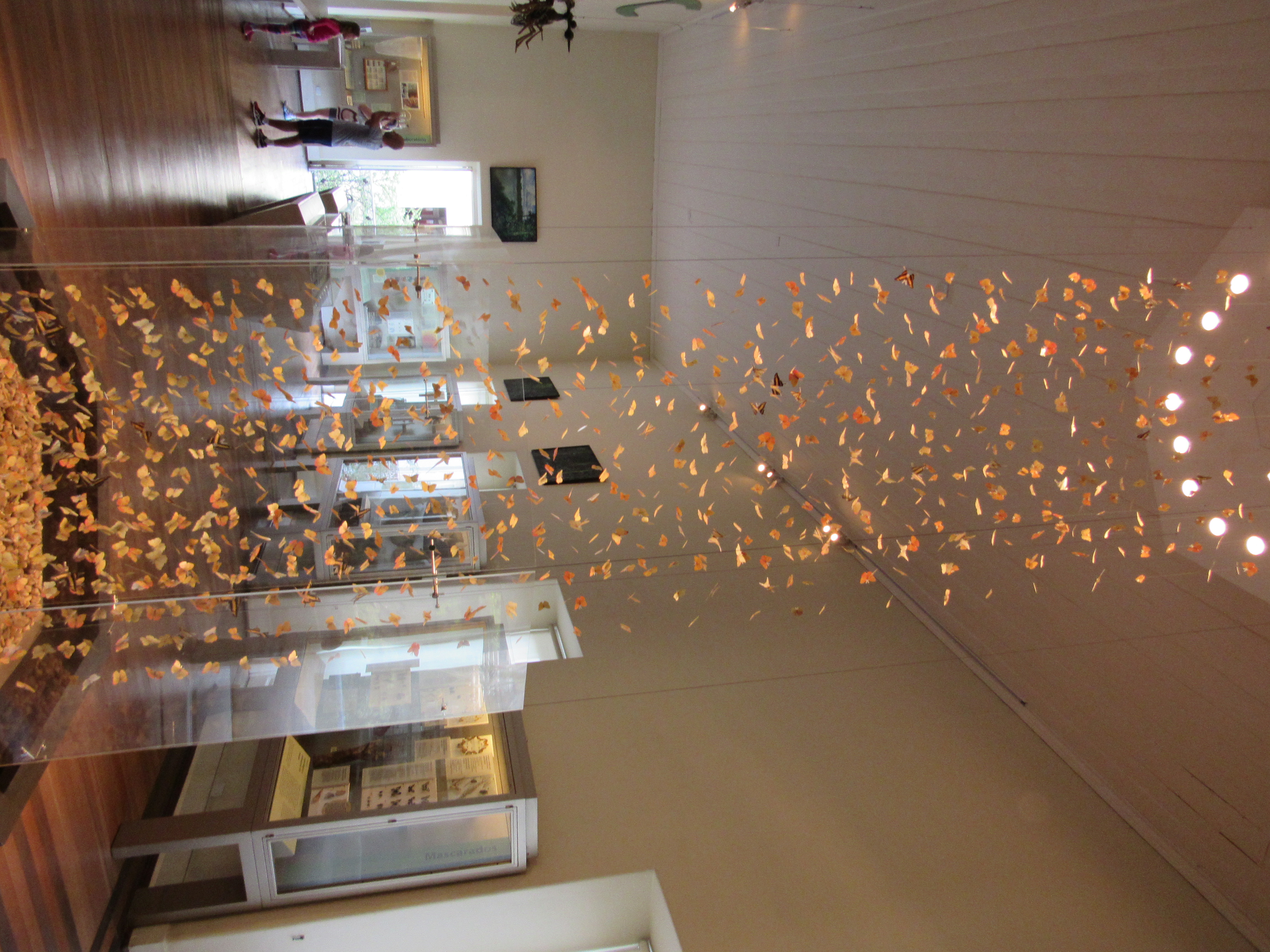 N/A (Art Installation)