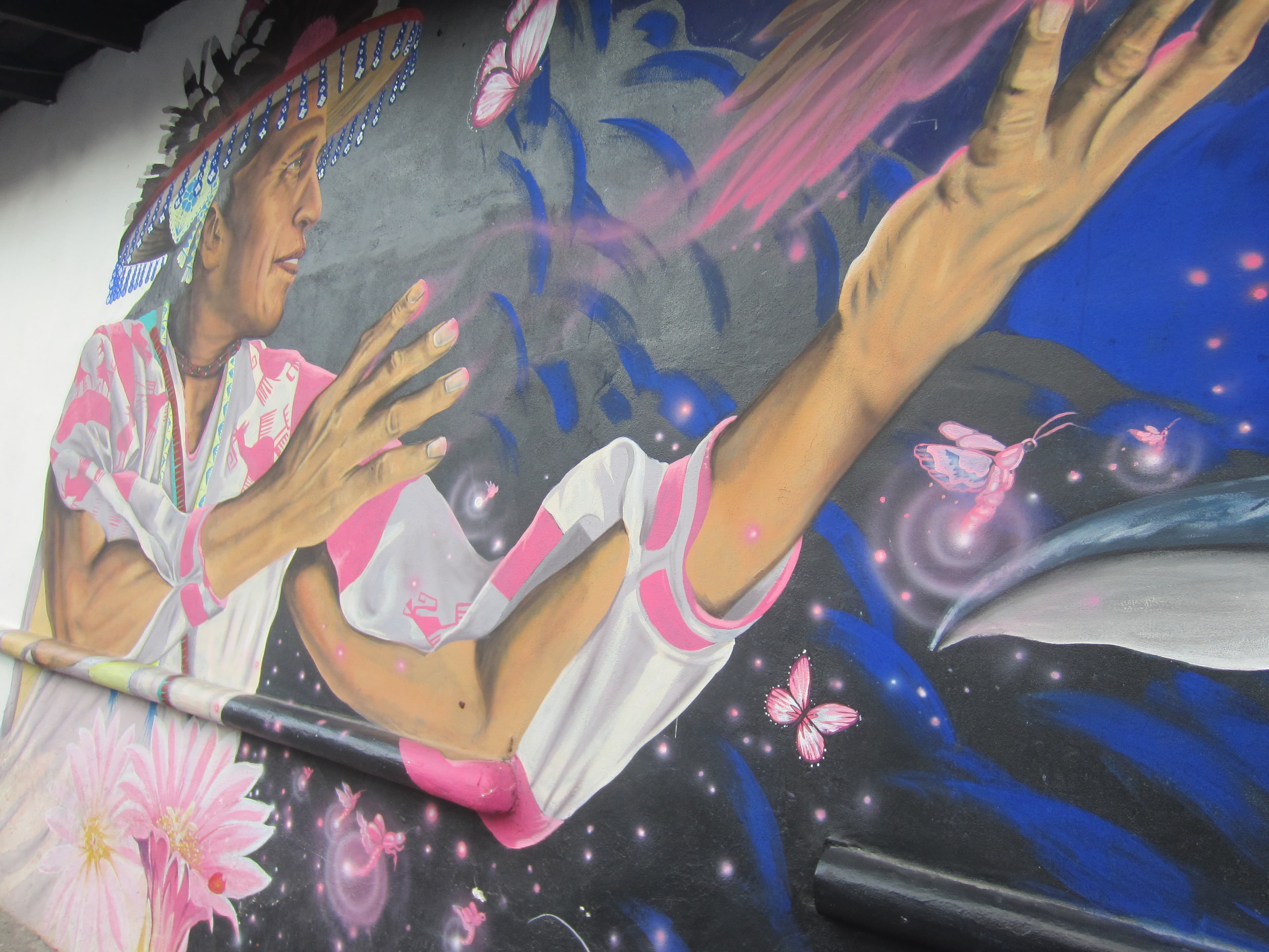 Artistic Butterfly Representation