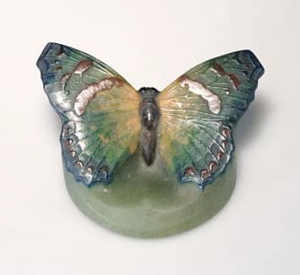 Small Purple Emperor