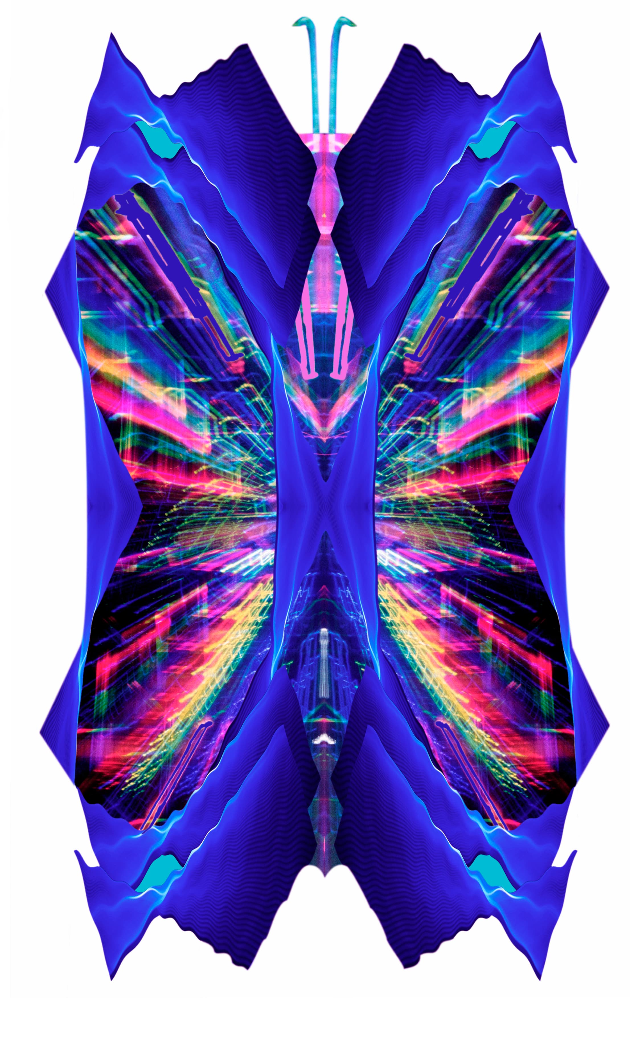 BioArt Butterfly Prototype