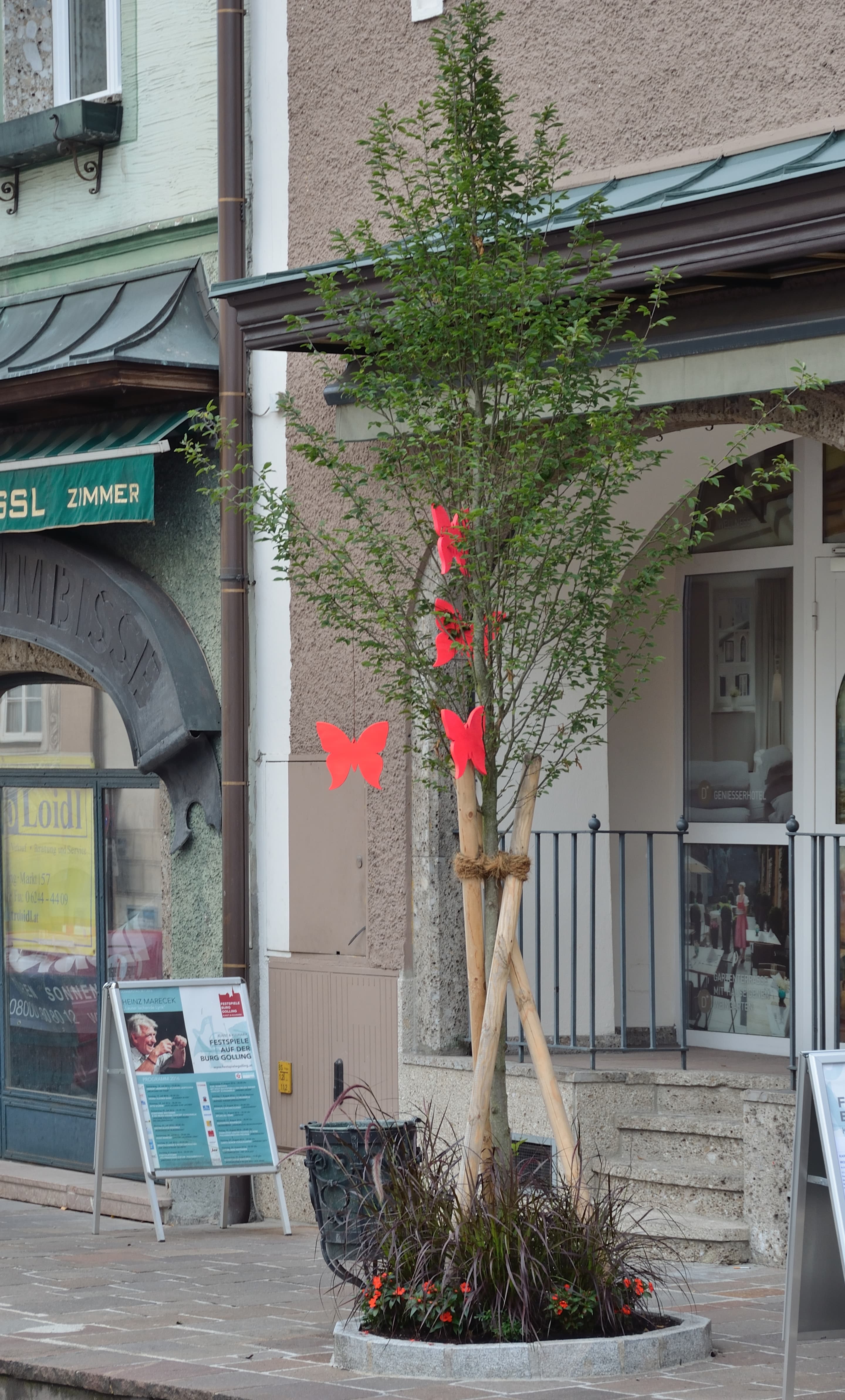 N/A (Artificial decoration)