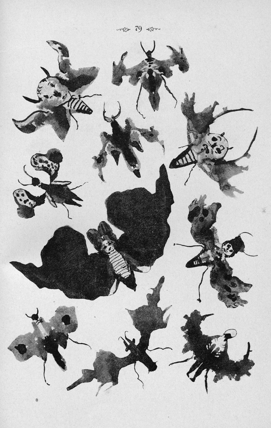 Kerner's Kleksographie (Fictional Lepidopteran)