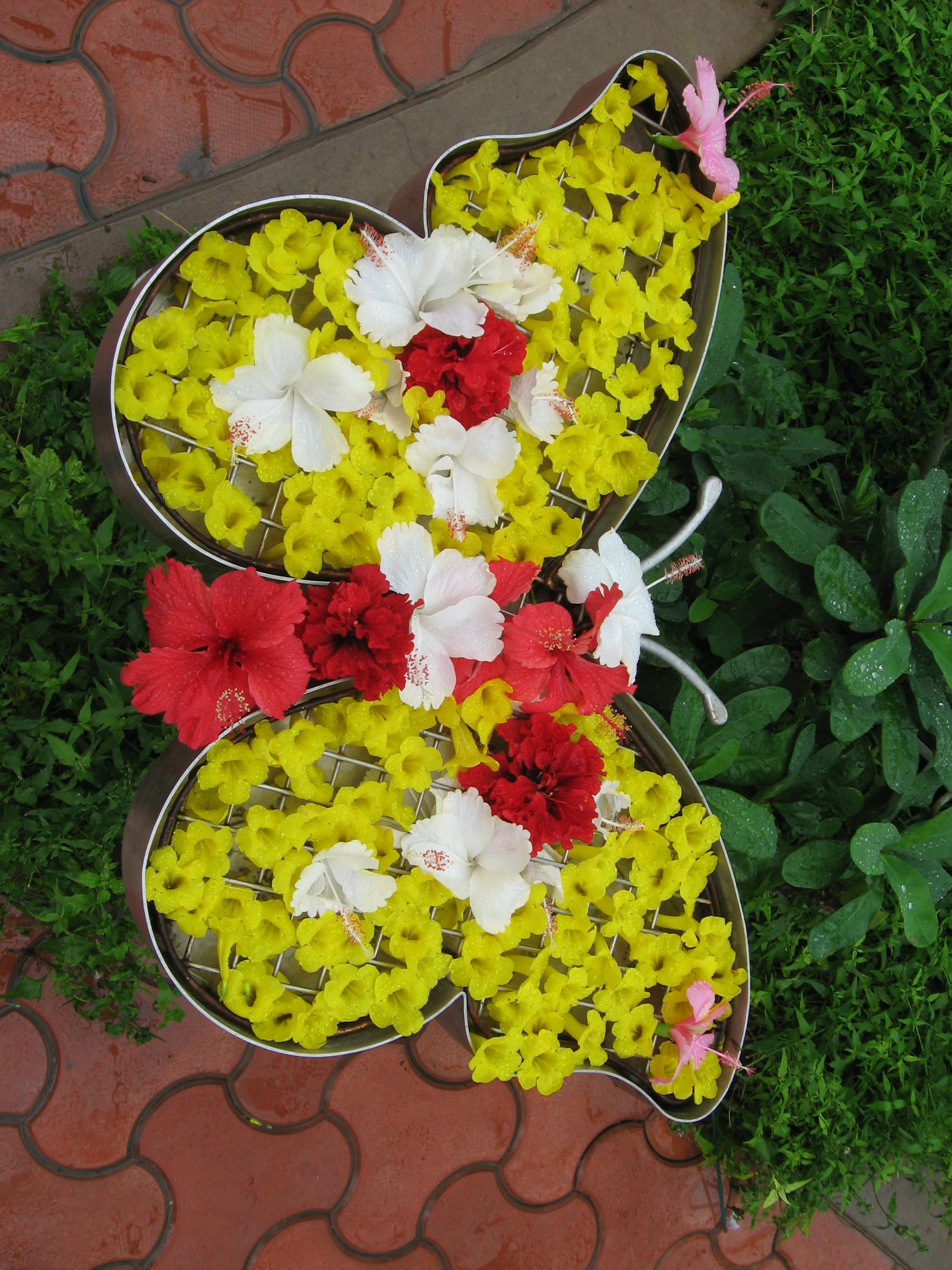 N/A (Image depicts a floral arrangement, not a living butterfly)