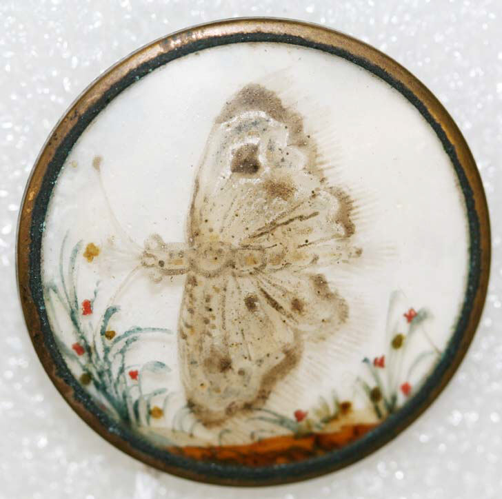 Unknown Butterfly (depicted on a button)