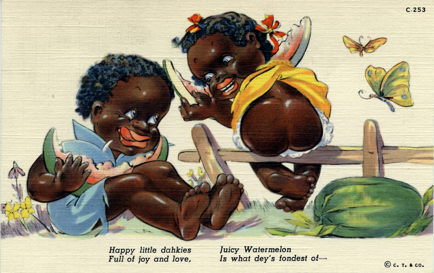 Unidentifiable Butterfly